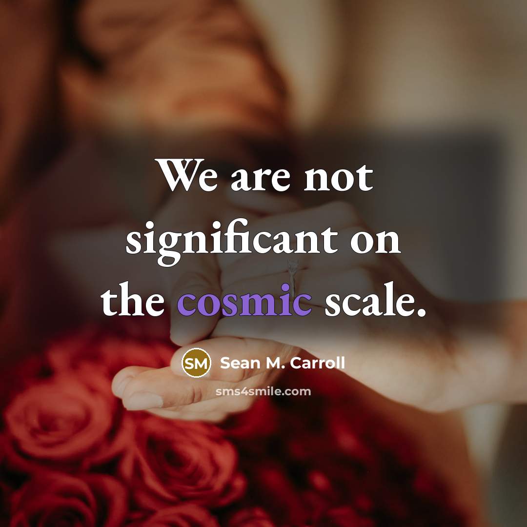 “We are not significant on the cosmic scale.…” quote by Sean M. Carroll