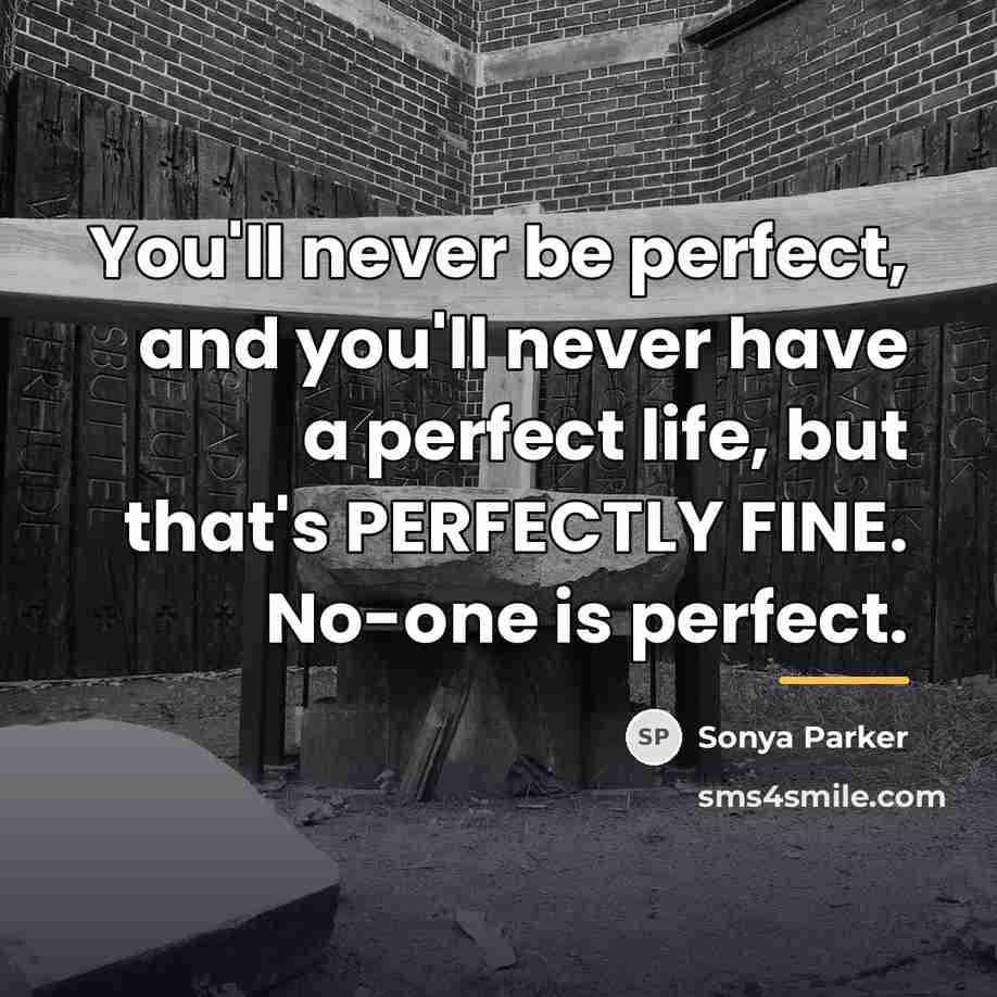 “You'll never be perfect, and you'll never have a perfect…” quote by Sonya Parker