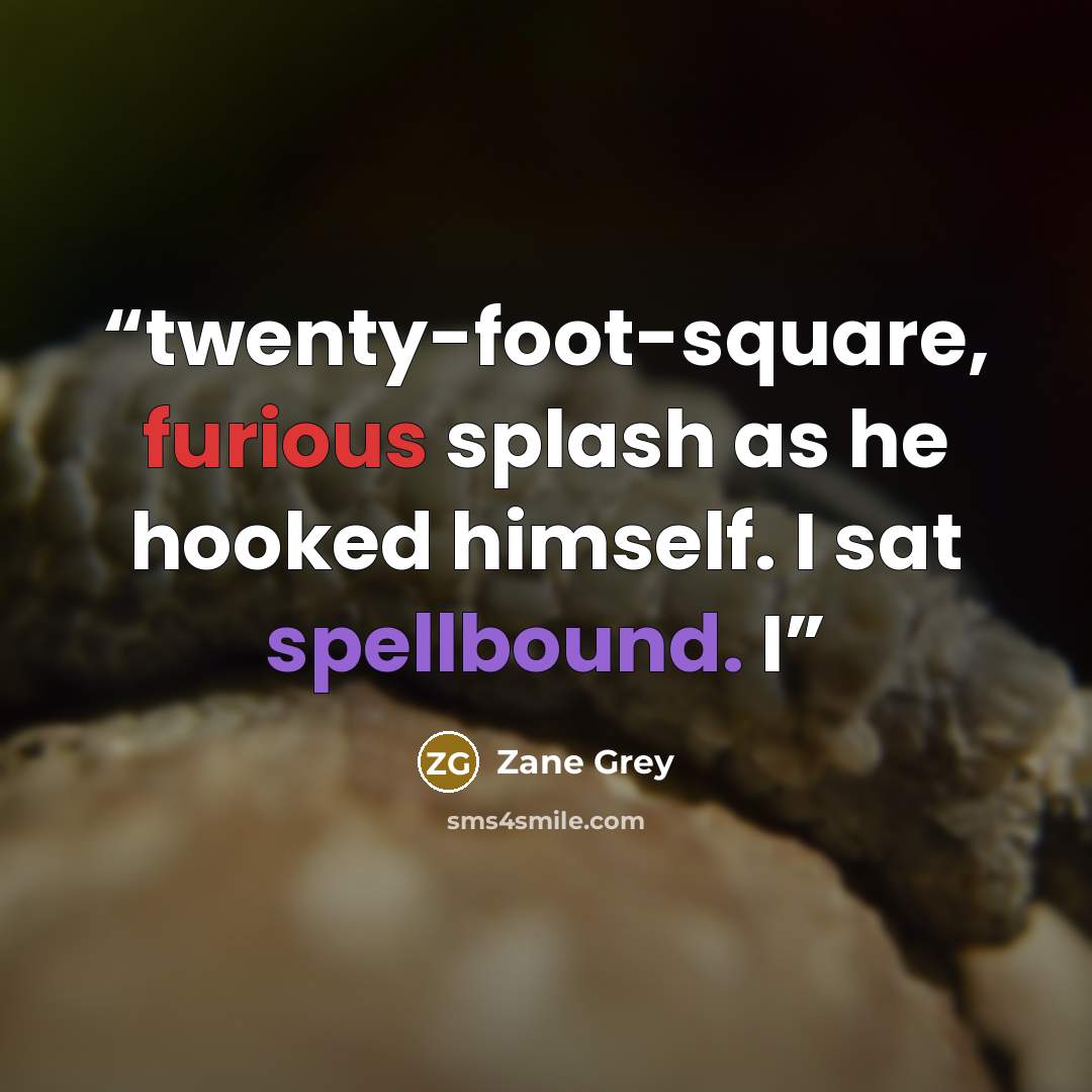 “twenty-foot-square, furious splash as he hooked himself. I sat spellbound. I” quote by Zane Grey