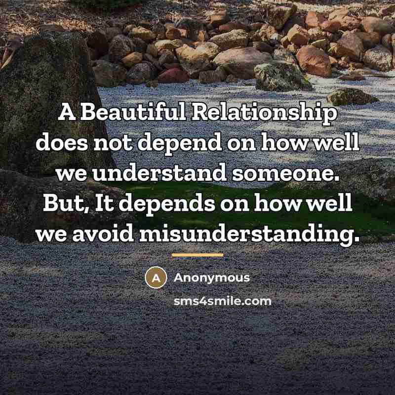 “A Beautiful Relationship does not depend on how well we…” quote by Anonymous