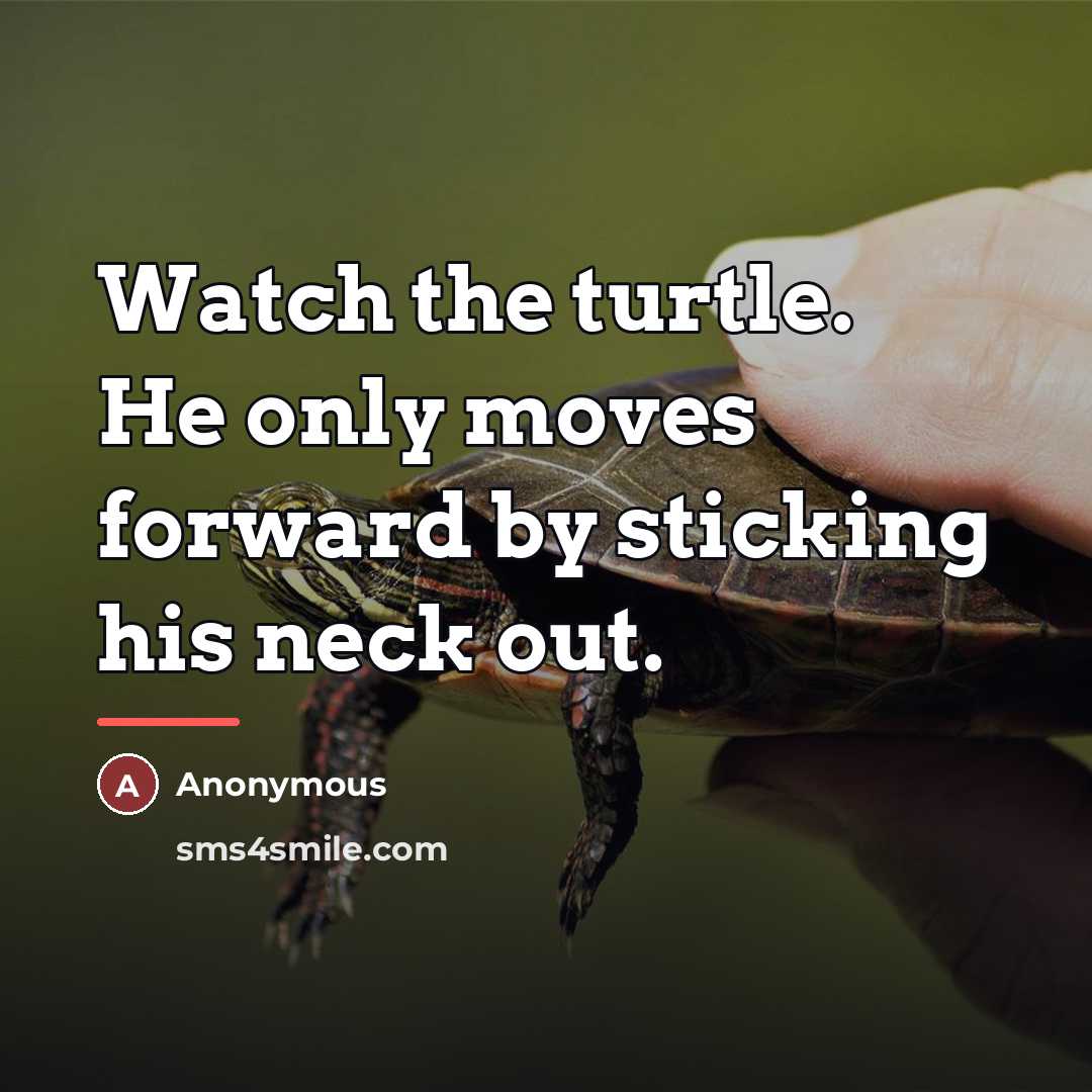 “Watch the turtle. He only moves forward by sticking his…” quote by Anonymous