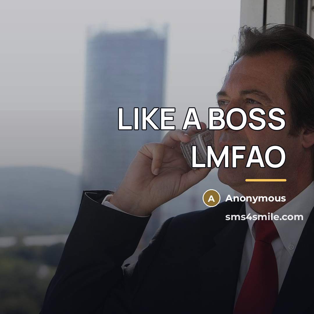 “LIKE A BOSS LMFAO…” quote by Anonymous