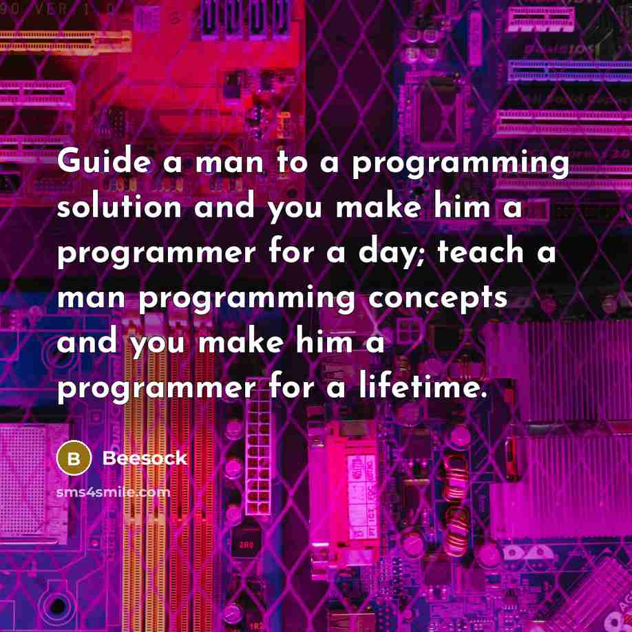“Guide a man to a programming solution and you make him a programmer for a day; teach a man programming concepts and you make him a programmer for a lifetime.” quote by Beesock