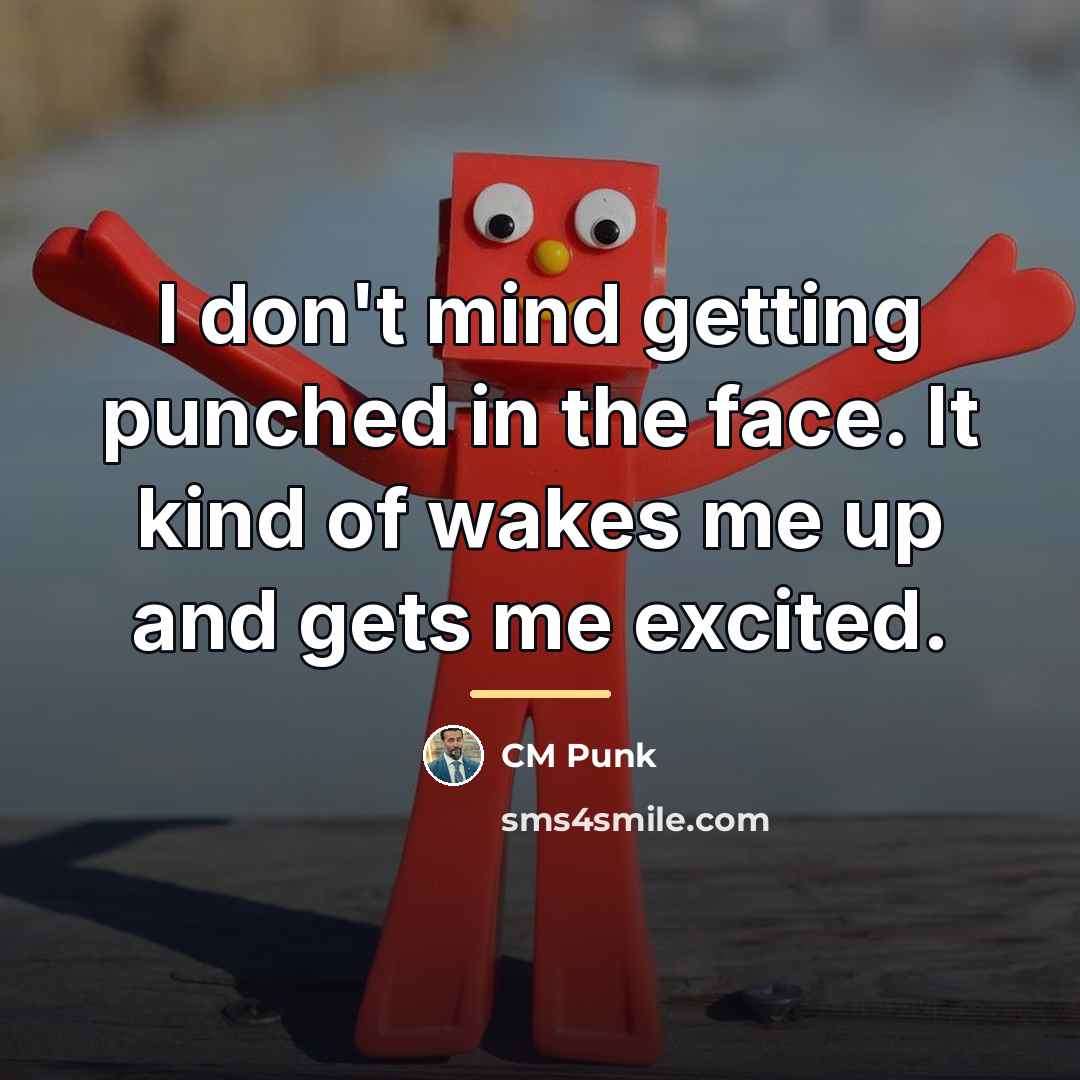 “I don't mind getting punched in the face. It kind…” quote by CM Punk