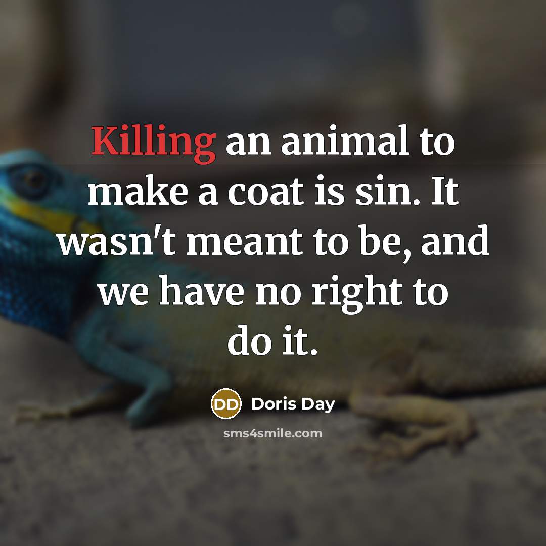 “Killing an animal to make a coat is sin. It…” quote by Doris Day