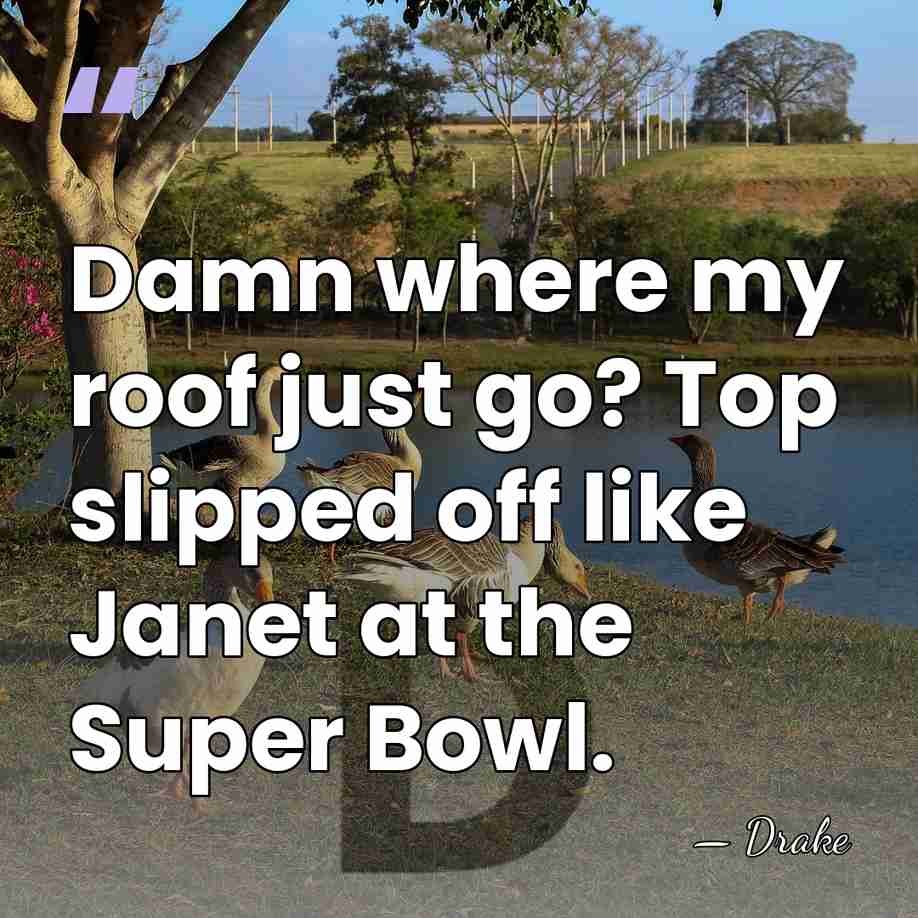 Damn where my roof just go? Top slipped off like Janet at&hellip; - Drake