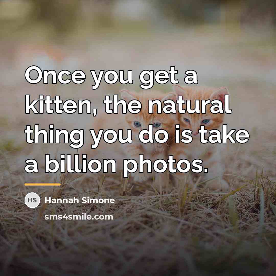 “Once you get a kitten, the natural thing you do…” quote by Hannah Simone