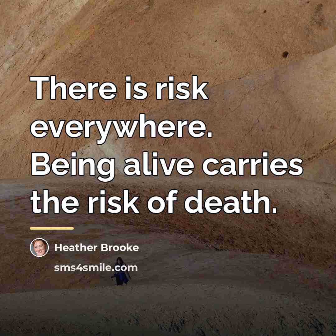 “There is risk everywhere. Being alive carries the risk of…” quote by Heather Brooke