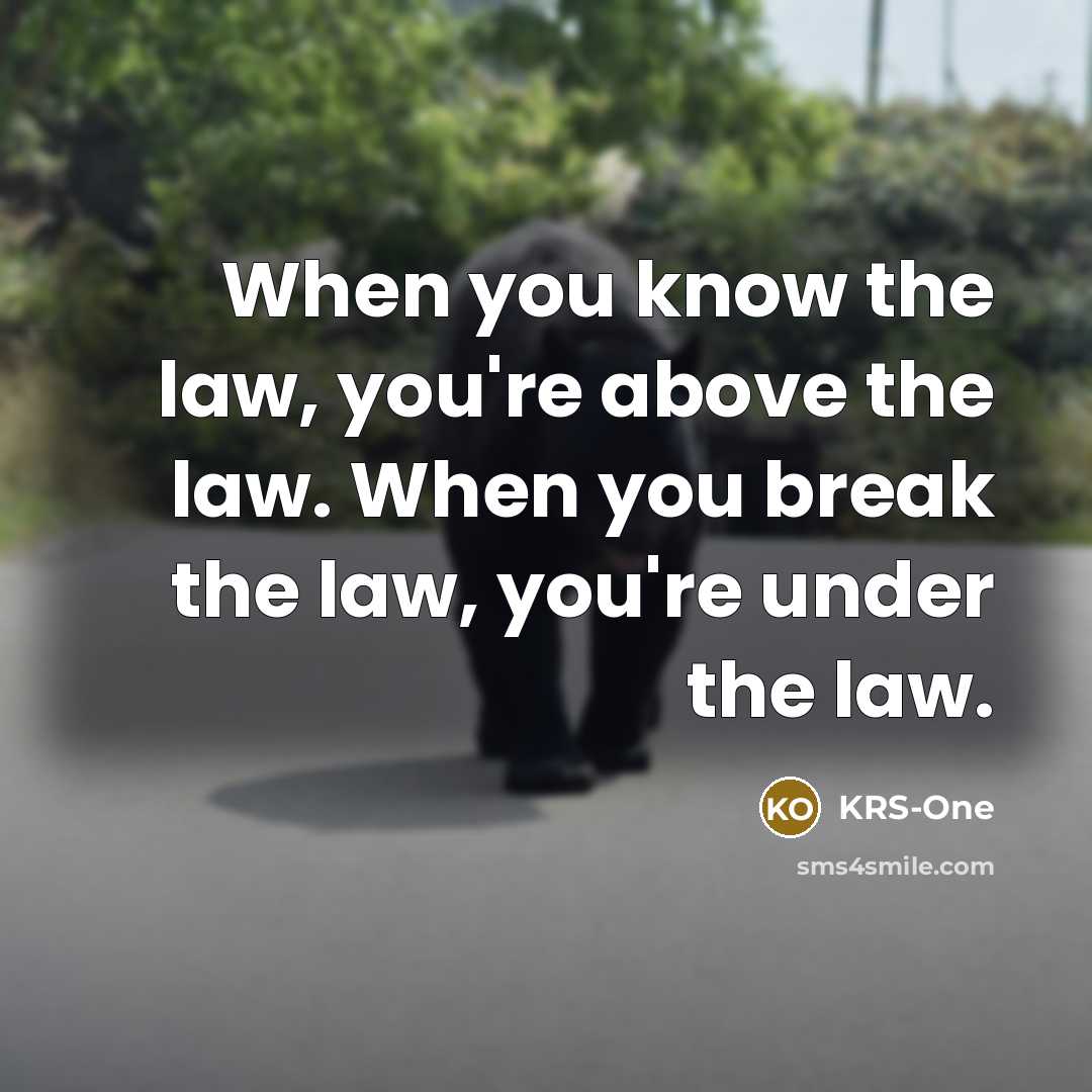 “When you know the law, you're above the law. When…” quote by KRS-One