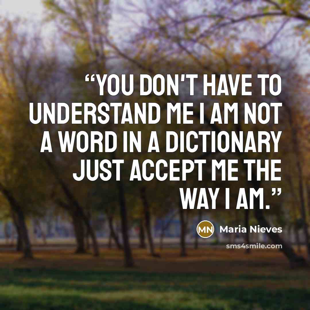 “You don't have to understand me I am not a word in a dictionary just accept me the way I am.” quote by Maria Nieves