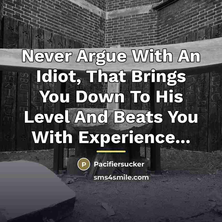 “Never Argue With An Idiot, That Brings You Down To…” quote by Pacifiersucker
