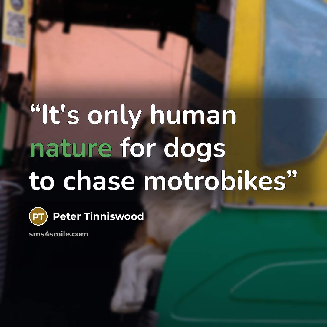 “It's only human nature for dogs to chase motrobikes” quote by Peter Tinniswood