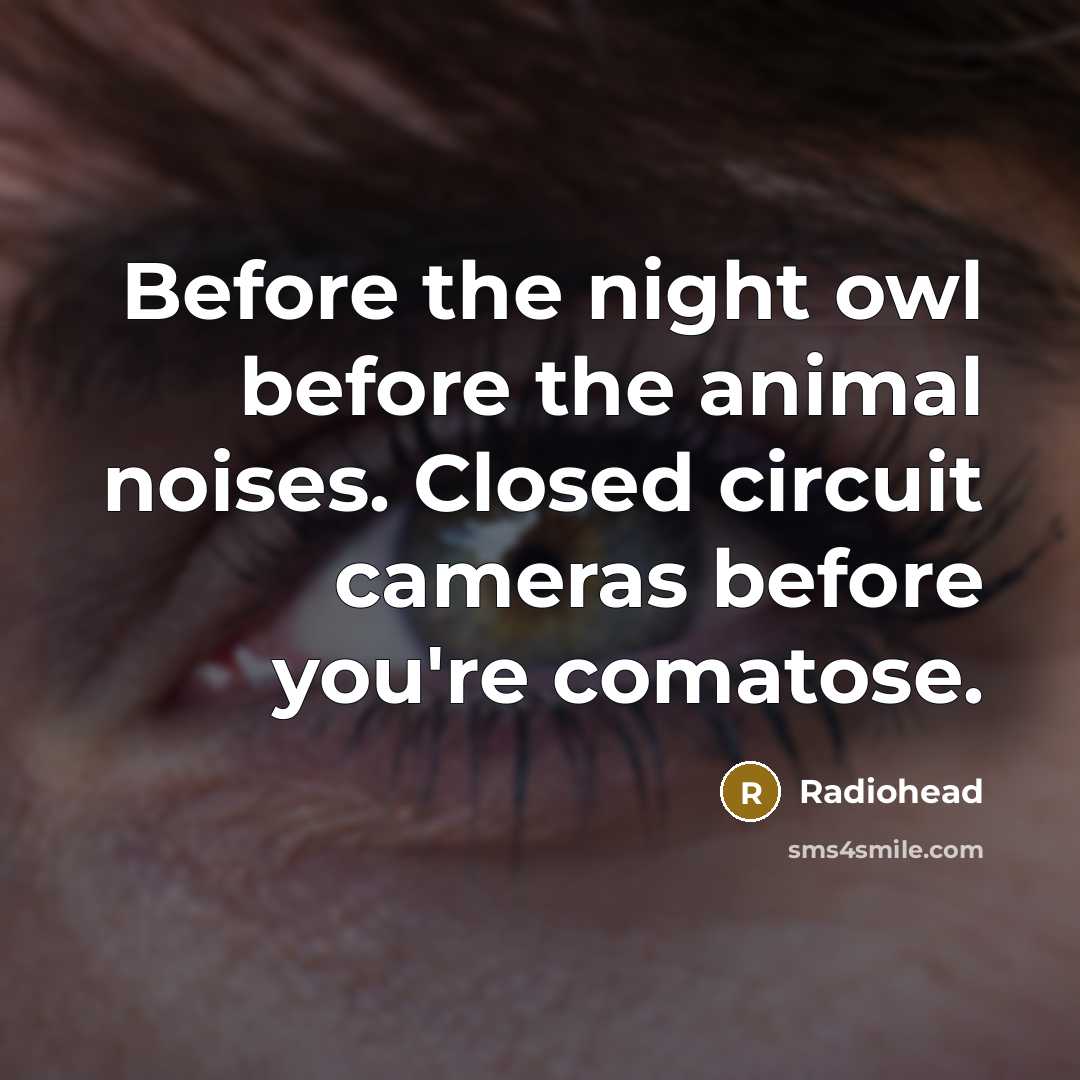 “Before the night owl before the animal noises. Closed circuit…” quote by Radiohead