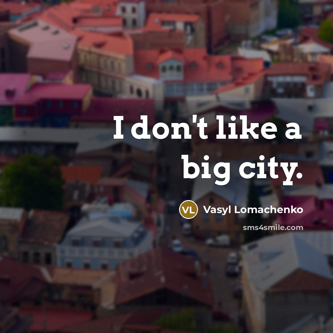 “I don't like a big city.…” quote by Vasyl Lomachenko