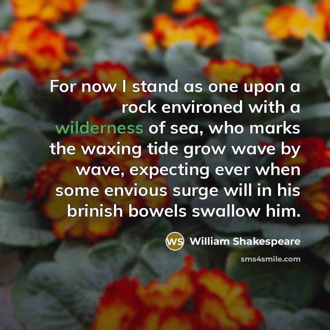 “For now I stand as one upon a rock environed…” quote by William Shakespeare