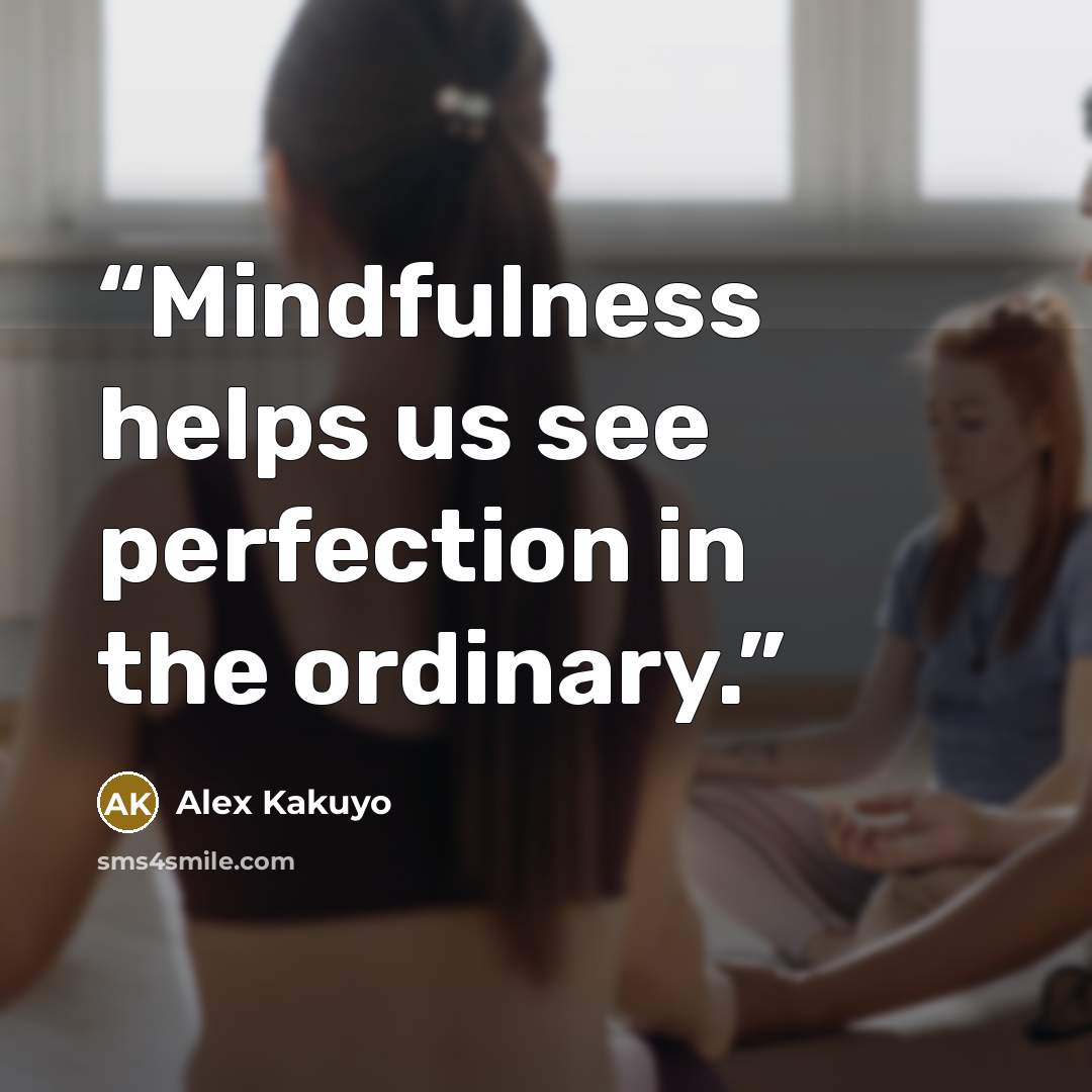 “Mindfulness helps us see perfection in the ordinary.” quote by Alex Kakuyo