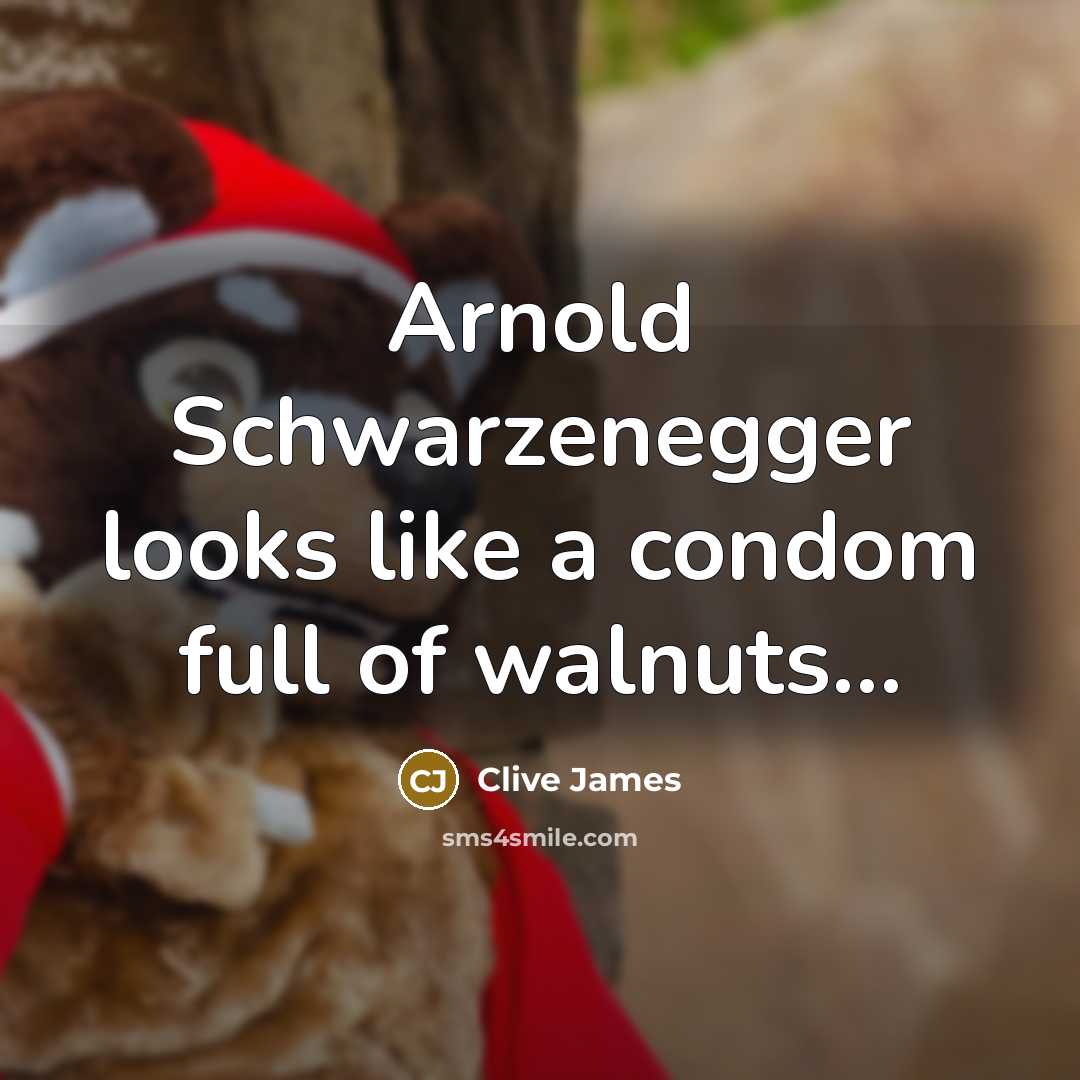 “Arnold Schwarzenegger looks like a condom full of walnuts…” quote by Clive James