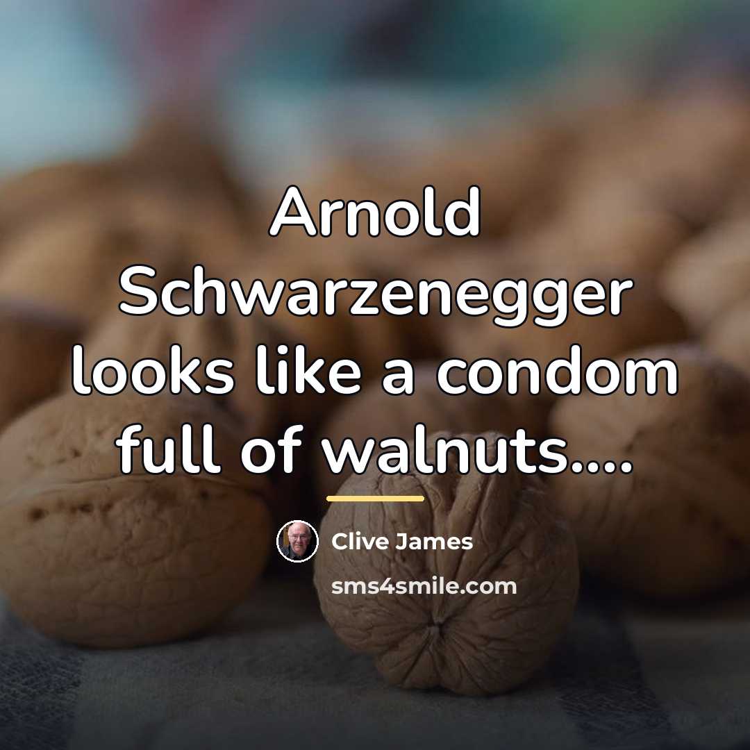 “Arnold Schwarzenegger looks like a condom full of walnuts....…” quote by Clive James