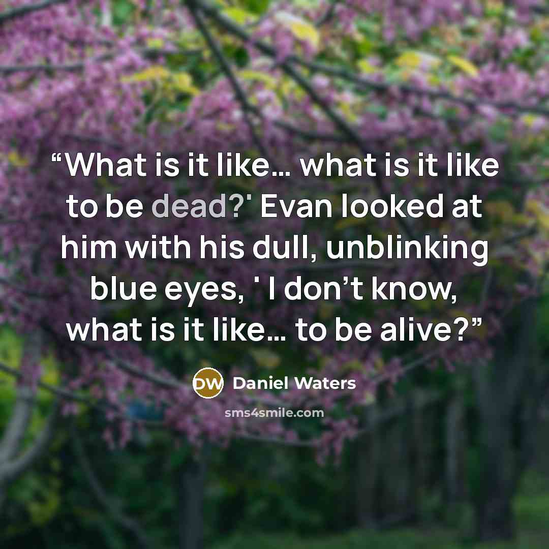 “What is it like… what is it like to be dead?' Evan looked at him with his dull, unblinking blue eyes, ' I don't know, what is it like… to be alive?” quote by Daniel Waters