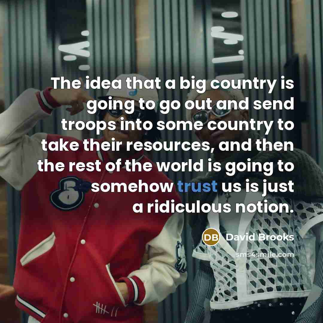 “The idea that a big country is going to go…” quote by David Brooks