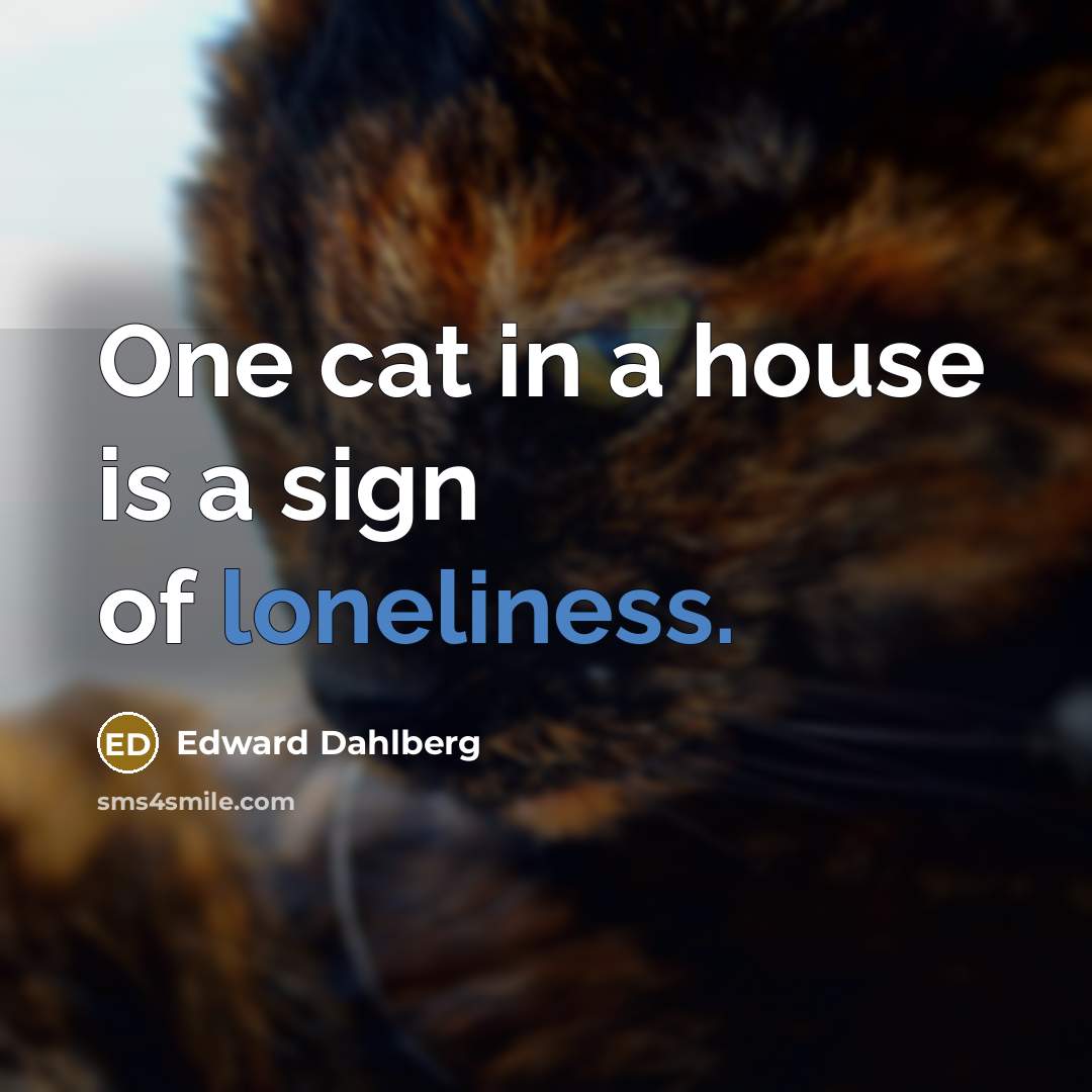 “One cat in a house is a sign of loneliness.…” quote by Edward Dahlberg