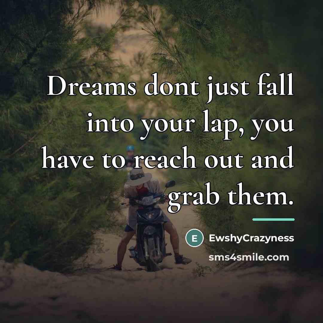 “Dreams dont just fall into your lap, you have to…” quote by EwshyCrazyness