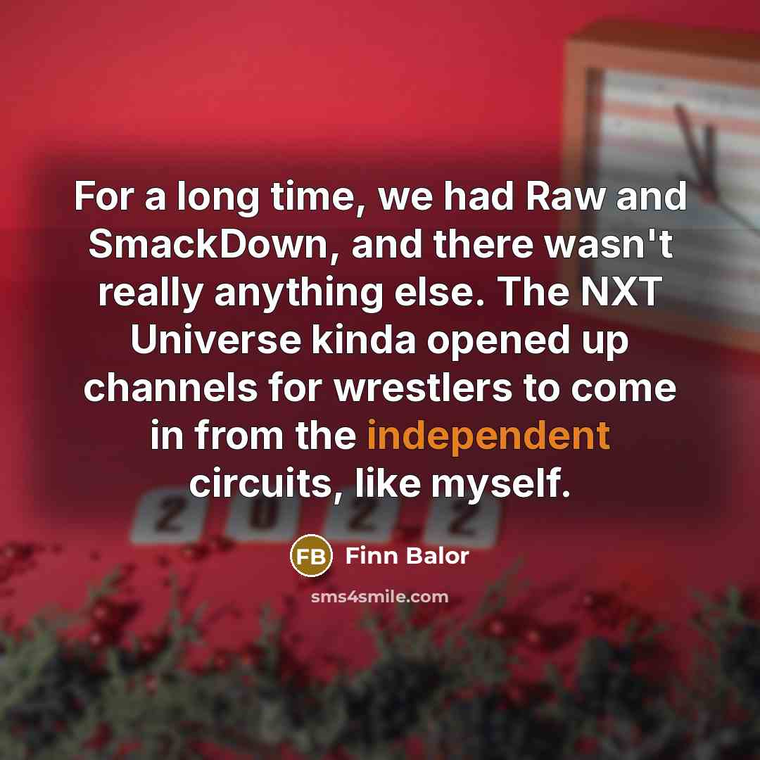 “For a long time, we had Raw and SmackDown, and…” quote by Finn Balor