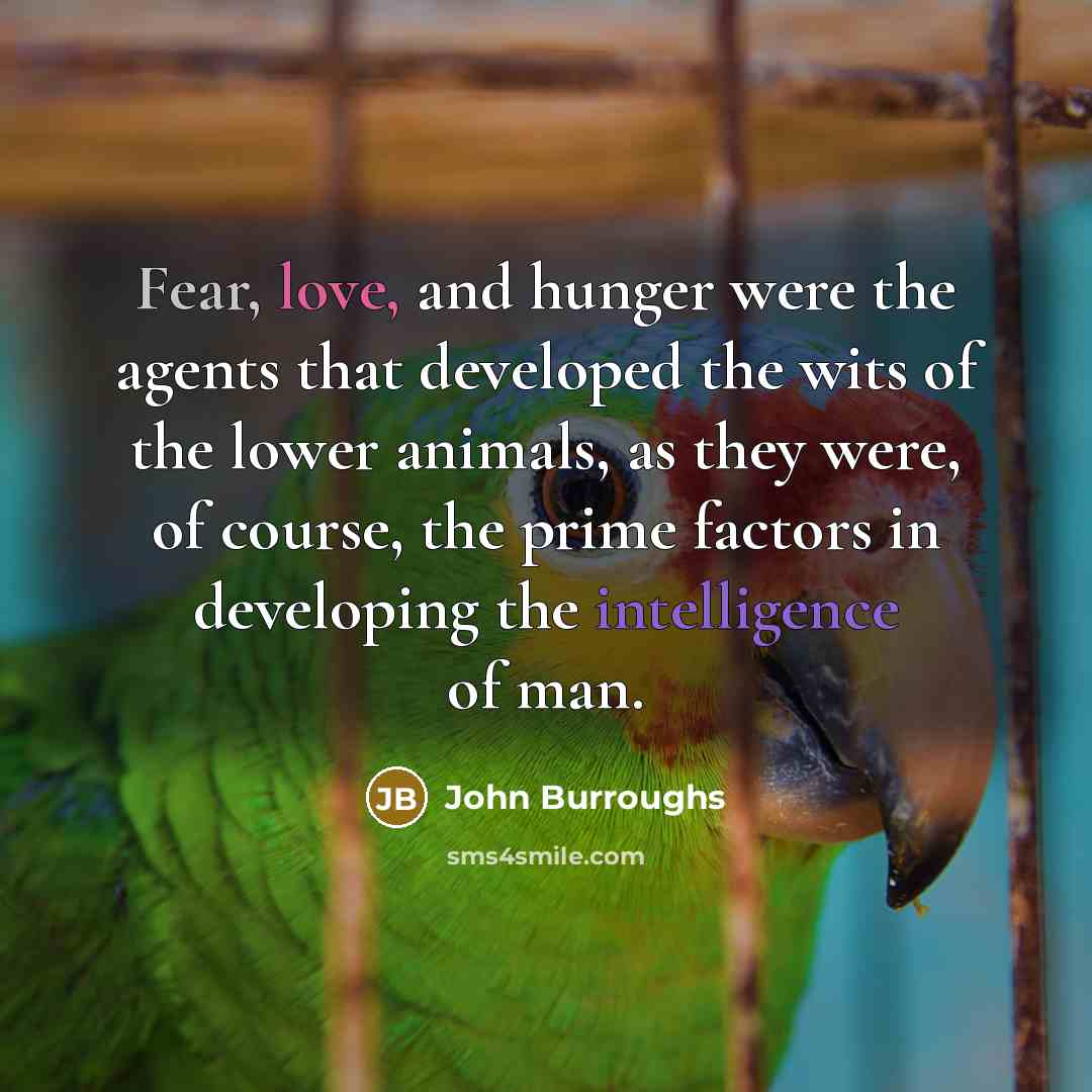 “Fear, love, and hunger were the agents that developed the…” quote by John Burroughs