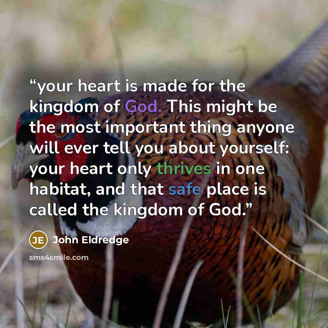 “your heart is made for the kingdom of God. This might be the most important thing anyone will ever tell you about yourself: your heart only thrives in one habitat, and that safe place is called the kingdom of God.” quote by John Eldredge