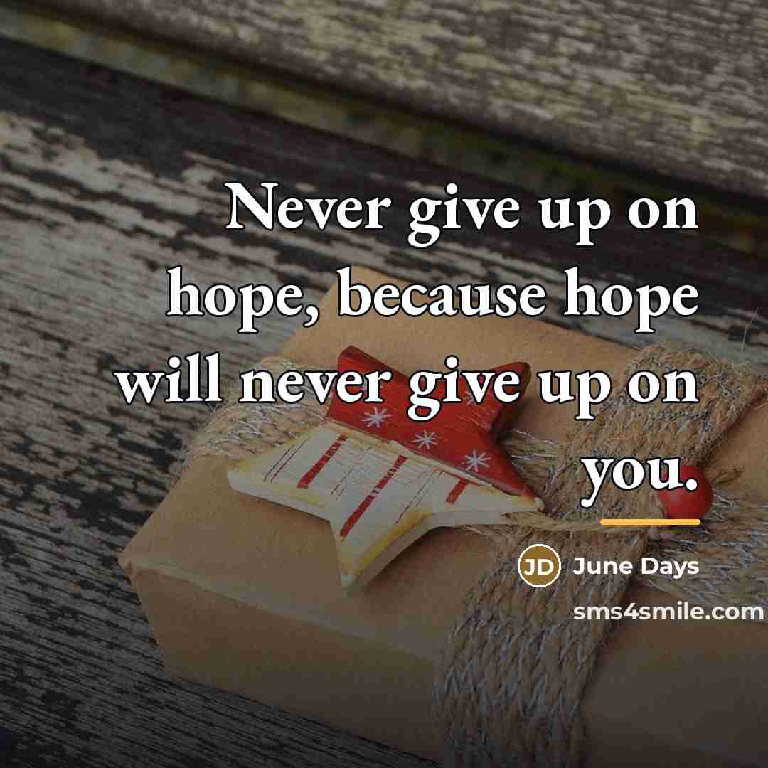 “Never give up on hope, because hope will never give…” quote by June Days