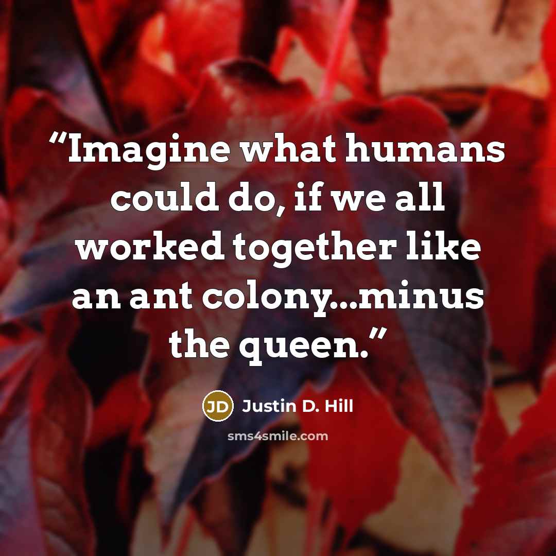 “Imagine what humans could do, if we all worked together like an ant colony...minus the queen.” quote by Justin D. Hill
