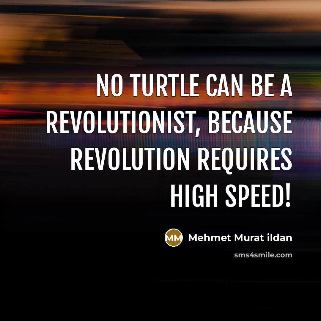 “No turtle can be a revolutionist, because revolution requires high…” quote by Mehmet Murat Ildan