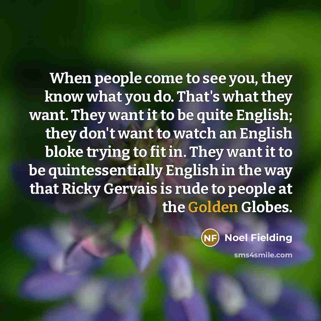 “When people come to see you, they know what you…” quote by Noel Fielding