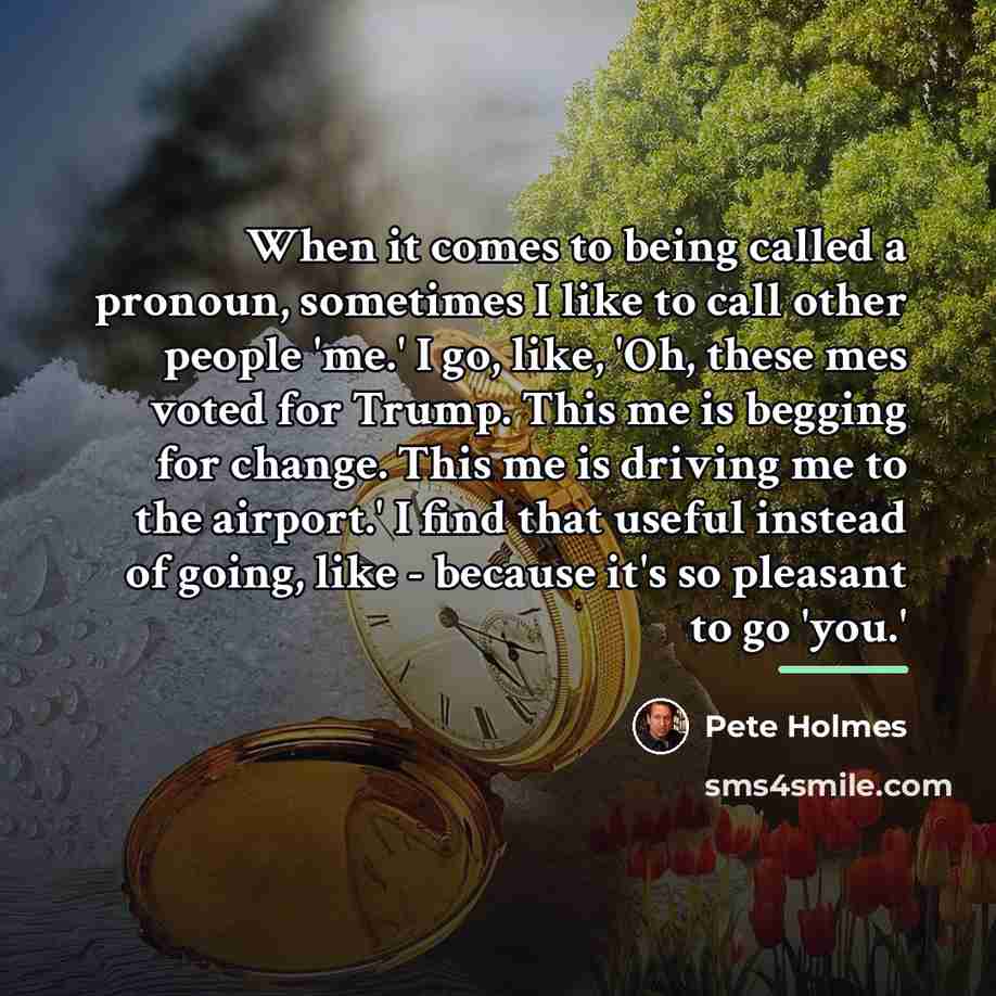 “When it comes to being called a pronoun, sometimes I…” quote by Pete Holmes