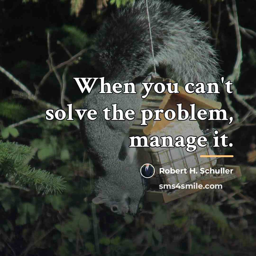 “When you can't solve the problem, manage it.…” quote by Robert H. Schuller