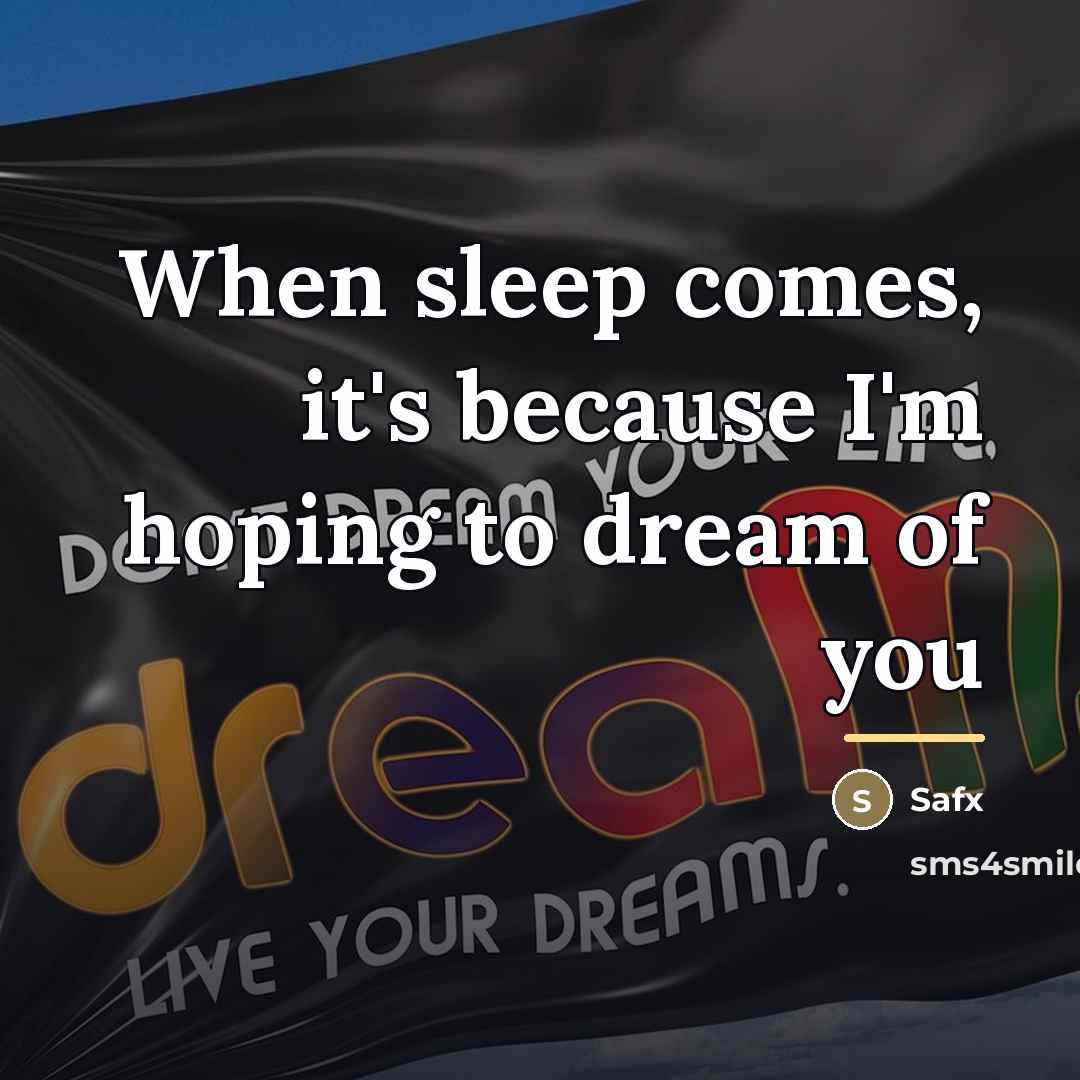 “When sleep comes, it's because I'm hoping to dream of…” quote by Safx