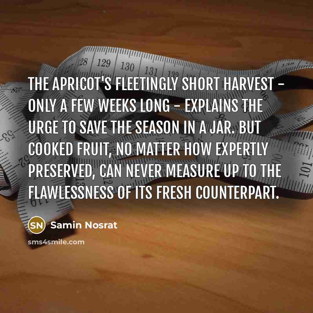 “The apricot's fleetingly short harvest - only a few weeks…” quote by Samin Nosrat