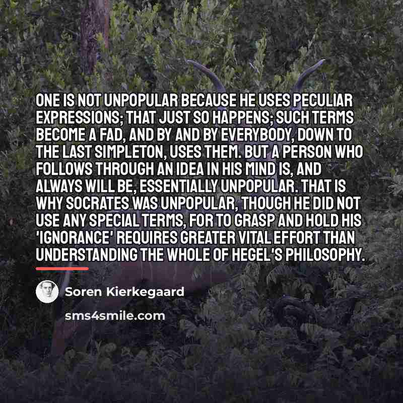 “One is not unpopular because he uses peculiar expressions; that…” quote by Soren Kierkegaard