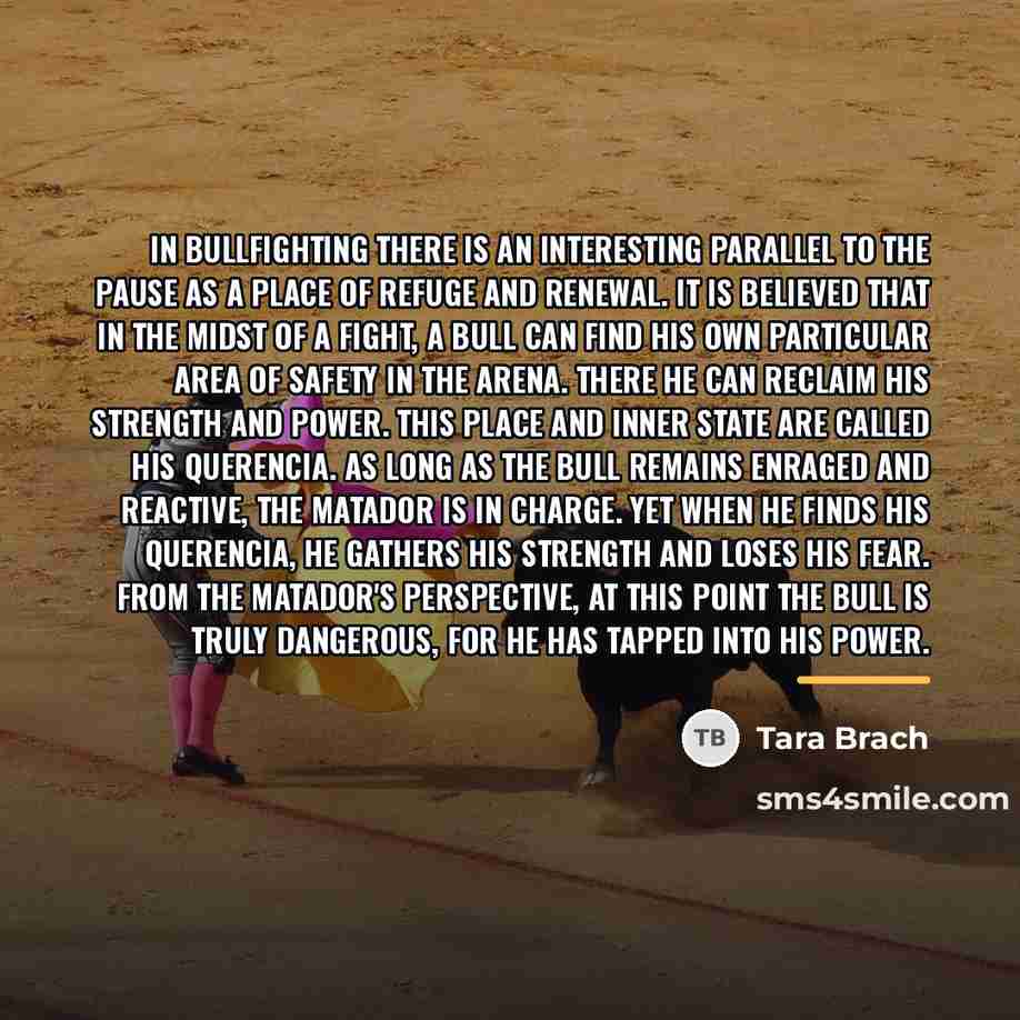 “In bullfighting there is an interesting parallel to the pause…” quote by Tara Brach