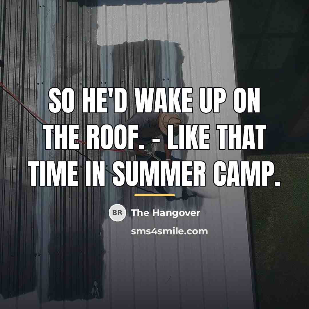 “So he'd wake up on the roof. - Like that…” quote by The Hangover