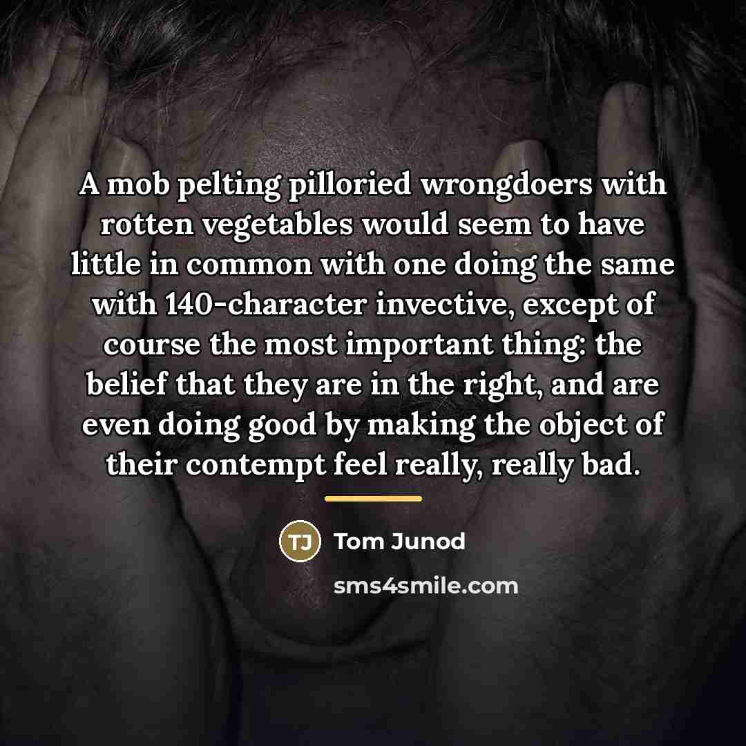 “A mob pelting pilloried wrongdoers with rotten vegetables would seem…” quote by Tom Junod