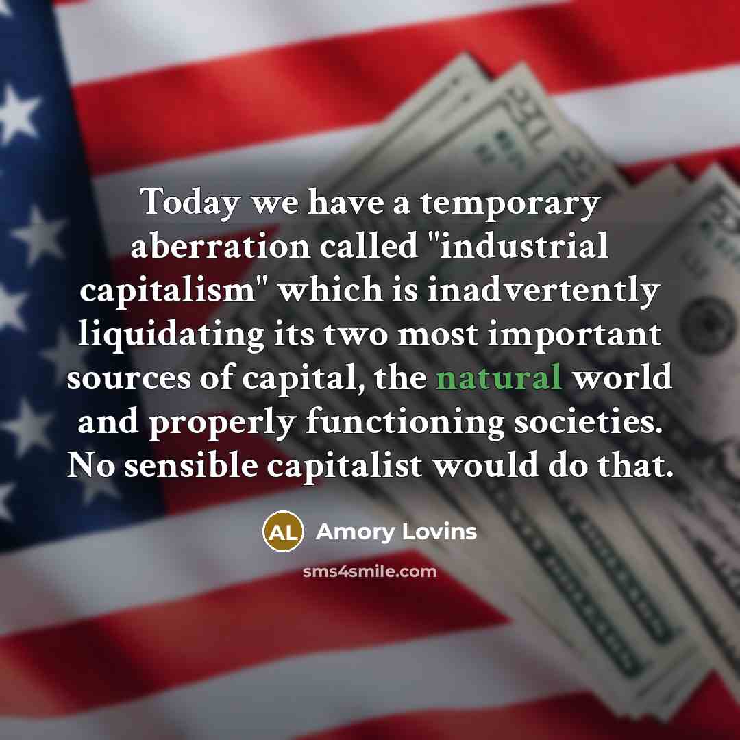 “Today we have a temporary aberration called "industrial capitalism" which…” quote by Amory Lovins