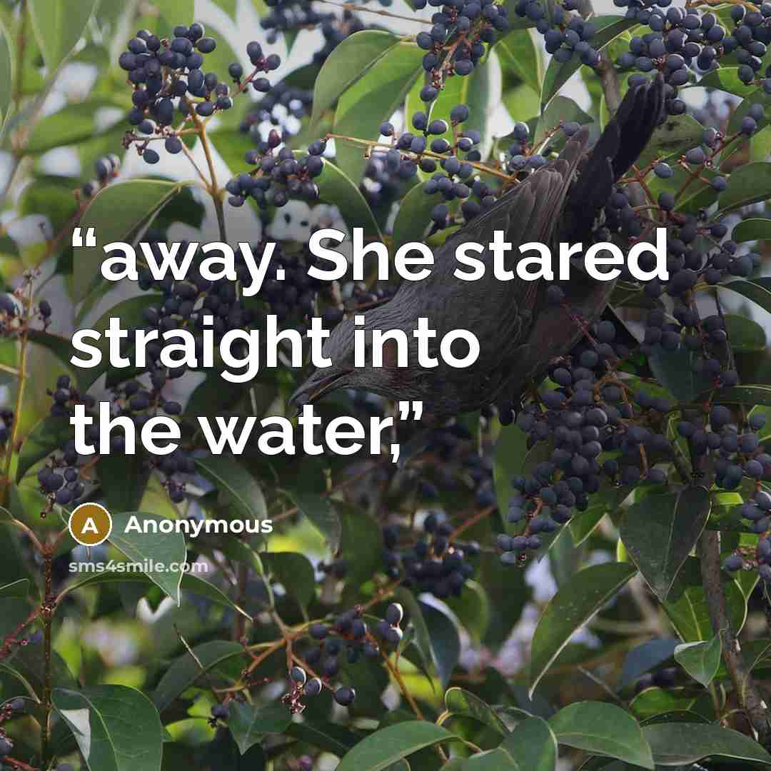 “away. She stared straight into the water,” quote by Anonymous