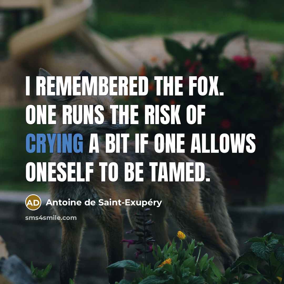 “I remembered the fox. One runs the risk of crying…” quote by Antoine de Saint-Exupery