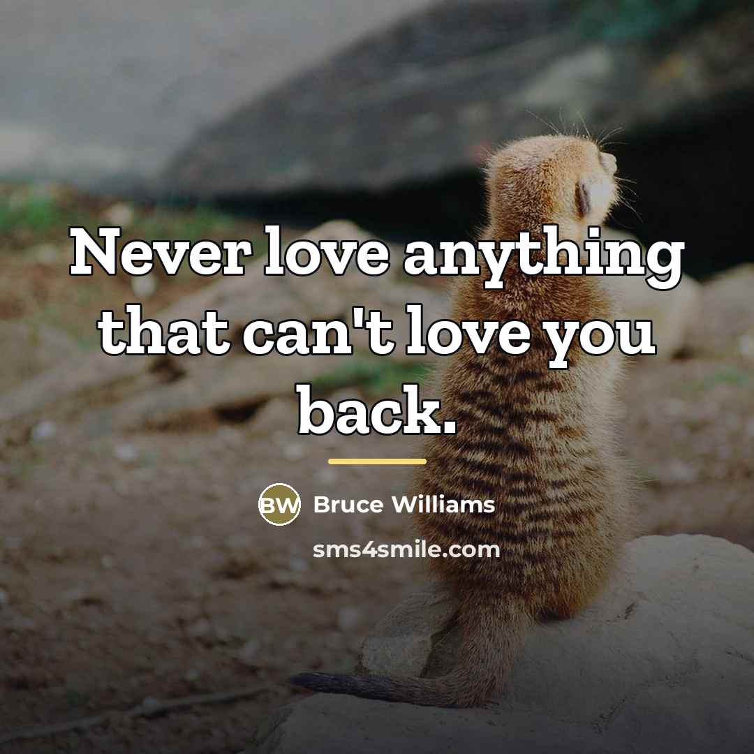 “Never love anything that can't love you back.…” quote by Bruce Williams