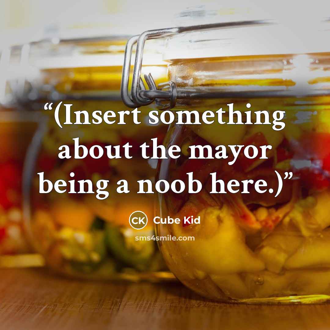 “(Insert something about the mayor being a noob here.)” quote by Cube Kid