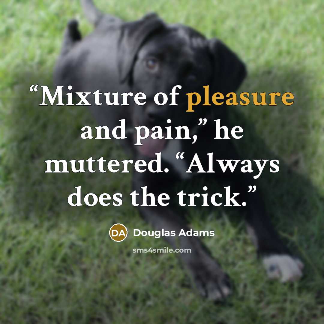 “Mixture of pleasure and pain,” he muttered. “Always does the trick.” quote by Douglas Adams
