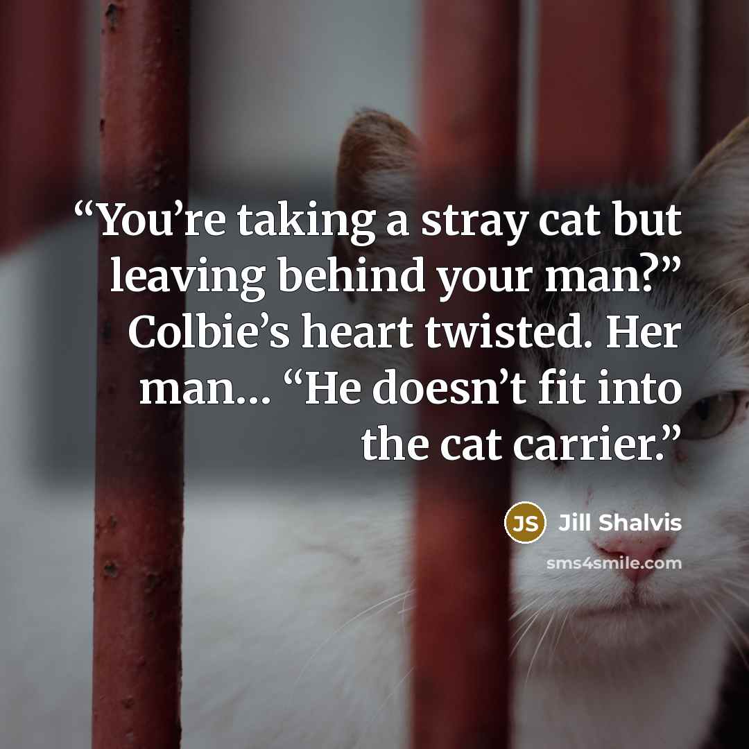 “You’re taking a stray cat but leaving behind your man?” Colbie’s heart twisted. Her man… “He doesn’t fit into the cat carrier.” quote by Jill Shalvis