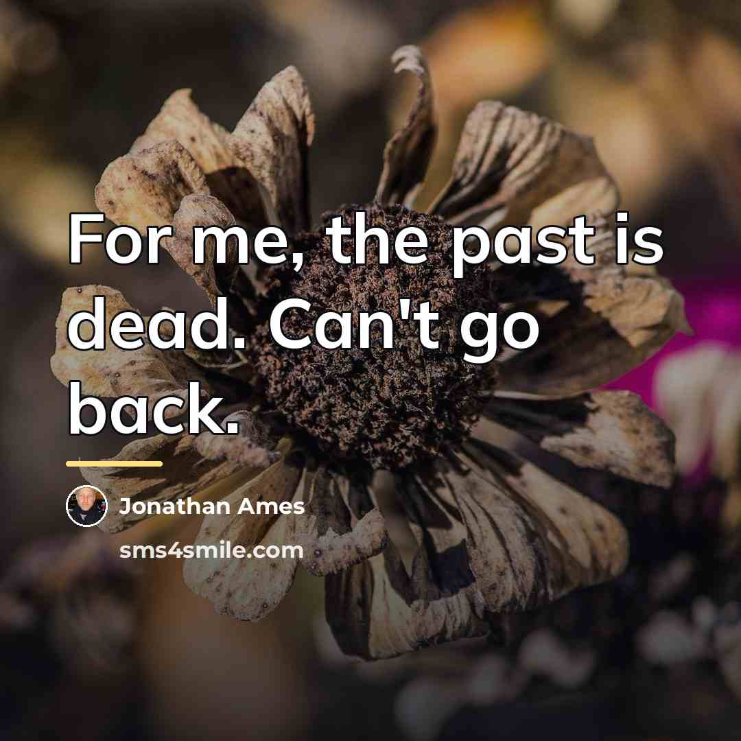 “For me, the past is dead. Can't go back.…” quote by Jonathan Ames