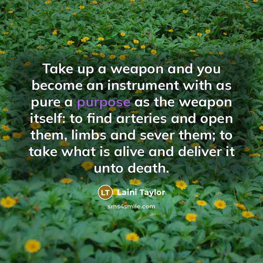 “Take up a weapon and you become an instrument with…” quote by Laini Taylor